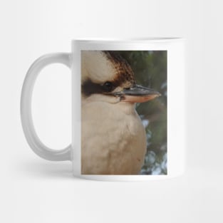 Kookaburra Mug